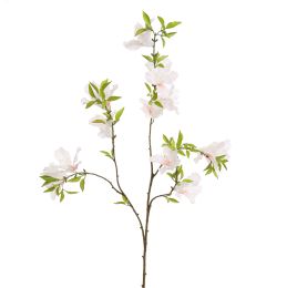 RHODODENDRON 85CM WHITE