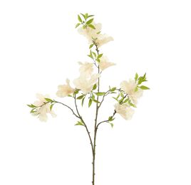 RHODODENDRON 85CM YELLOW