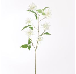 LONICERA 91CM CREAM