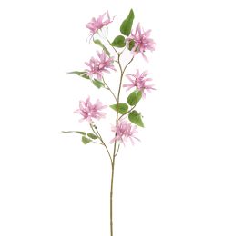 LONICERA 91CM LAVENDER
