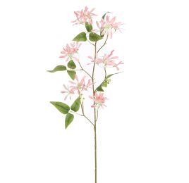 LONICERA 91CM PINK