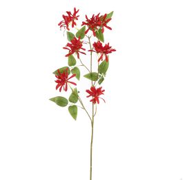 LONICERA 91CM RED
