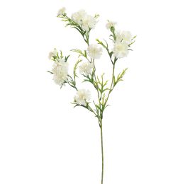 CORNFLOWER 71CM CREAM