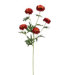 MARIGOLD 70CM RED