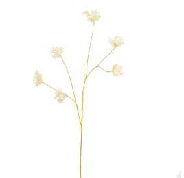 COLORED STEM HYDRANGEA 110CM CREAM
