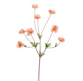 COLORED STEM POPPY 95CM PINK