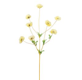 COLORED STEM POPPY 95CM YELLOW