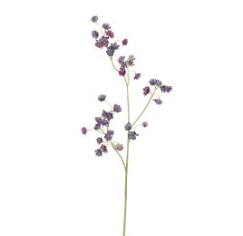 ASTRANTIA SPRAY 84CM PURPLE
