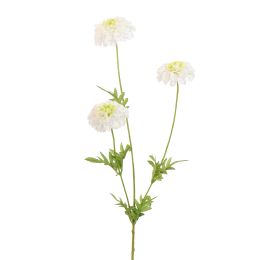MARIGOLD 65CM CREAM