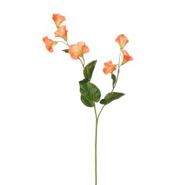 CAMPANULA 61CM ORANGE