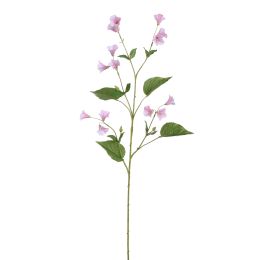 CAMPANULA SPRAY 99CM LILA