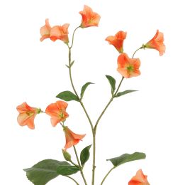 CAMPANULA SPRAY 99CM ORANGE