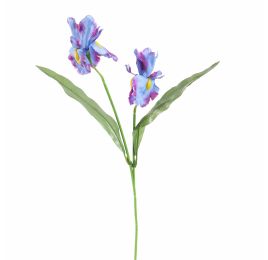 IRIS X2 60CM BLUE