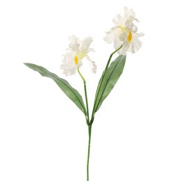 IRIS X2 60CM CREAM