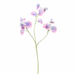 SWEET PEA 66CM LAVENDER