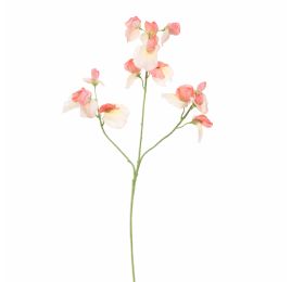 SWEET PEA 66CM PEACH