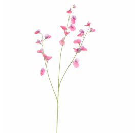 SWEET PEA 103CM BEAUTY