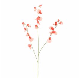 SWEET PEA 103CM CORAL