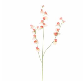 SWEET PEA 103CM PEACH