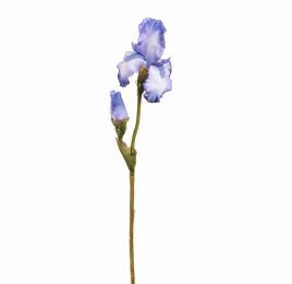 IRIS 80CM BLUE