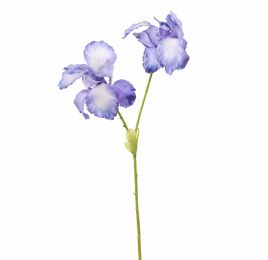 IRIS X2 65CM BLUE