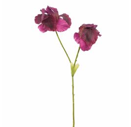 IRIS X2 65CM PURPLE