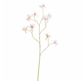 MINI IRIS SPRAY 105CM CREAM