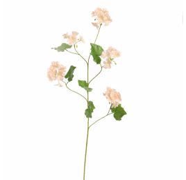 BEGONIA SPRAY 105CM PEACH