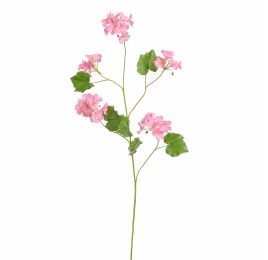 BEGONIA SPRAY 105CM PINK