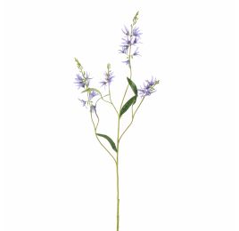 CAMASSIA 101CM BLUE