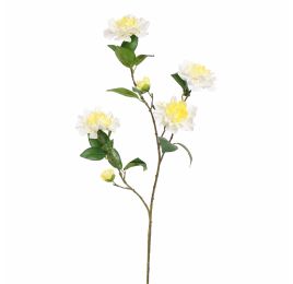 CAMELIA JOAN TREHANE 100CM CREAM