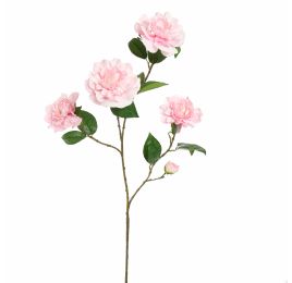 CAMELIA JOAN TREHANE 100CM PINK