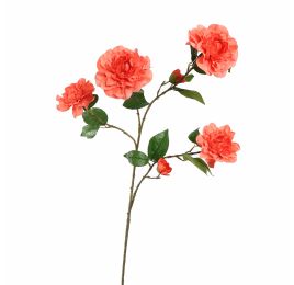 CAMELIA JOAN TREHANE 100CM SALMON