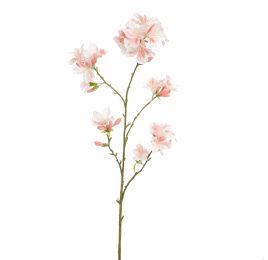 RHODODENDRON 116CM LIGHT PINK