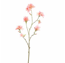 RHODODENDRON 116CM PINK