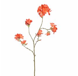 RHODODENDRON 116CM RED