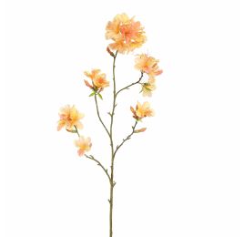 RHODODENDRON 116CM YELLOW