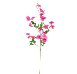 SWEET PEA 100CM BEAUTY