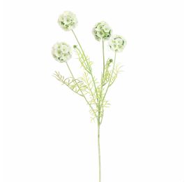 SCABIOSA POD SPRAY 60CM CREAM