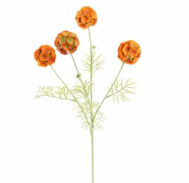 SCABIOSA POD SPRAY 60CM ORANGE