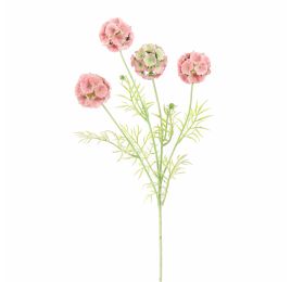 SCABIOSA POD SPRAY 60CM PINK