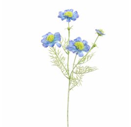 SCABIOSA 60CM BLUE