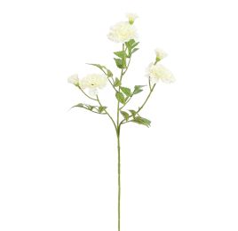 MARIGOLD 75CM CREAM
