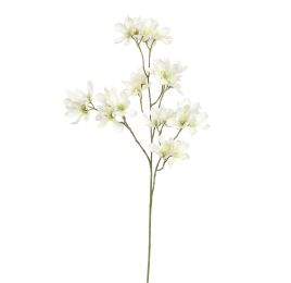 WILD MAGNOLIA SPRAY 85CM CREAM