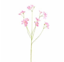 BELEMCANDA CHINENSIS SPRAY 67CM PINK
