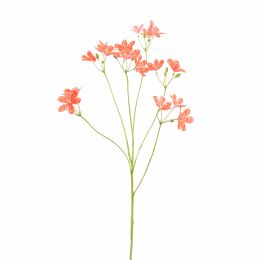 BELEMCANDA CHINENSIS SPRAY 67CM RED