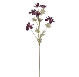 COSMOS SPRAY 80CM PURPLE