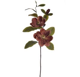 MAGNOLIA 83CM BROWN