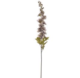 DELPHINIUM 79CM GREY