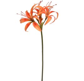 HIPPEASTRUM 80CM ORANGE